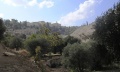 Thumbnail for version as of 04:43, 9 September 2012