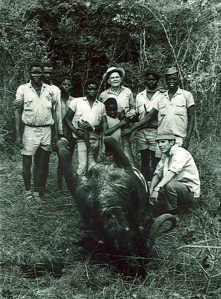 File:Africa 5.jpg